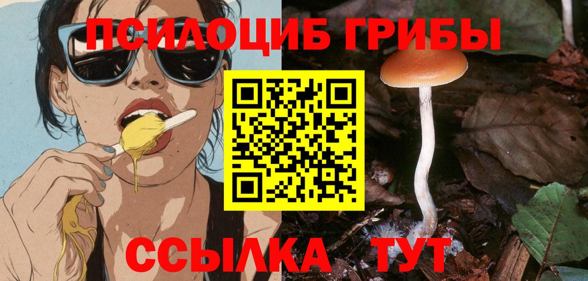 Чебоксары  Псилоцибиновые грибы Magic Shrooms  Вход с VPN 